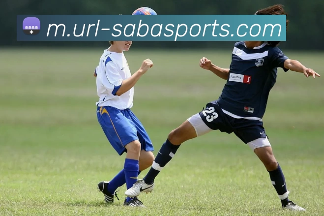 沙巴体育平台生态图