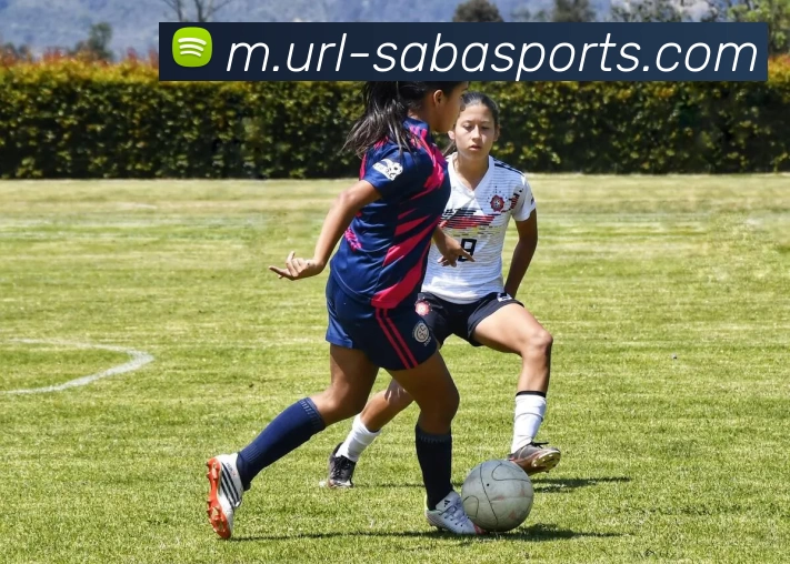 沙巴体育APP 封面图