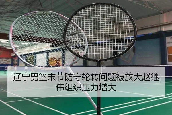 辽宁男篮末节防守轮转问题被放大赵继伟组织压力增大 | SABASports